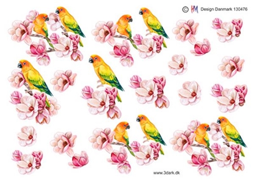 3D Papegøje og lyserøde blomster